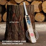 GM Diamond 101 Kashmir Willow Cricket bat, Mens