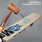 GM Diamond 101 Kashmir Willow Cricket bat, Mens