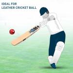 GM Diamond 101 Kashmir Willow Cricket bat, Mens