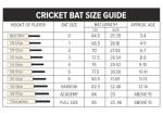 GM Diamond 101 Kashmir Willow Cricket bat, Mens