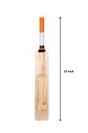 SportsYuva Light Tennis Willow Cricket Bat with Cover