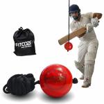 Fitcozi Kids Cricket Practice PVC/Rubber Hanging Ball