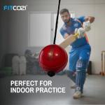 Fitcozi Kids Cricket Practice PVC/Rubber Hanging Ball
