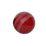 Leather Cricket Ball for Practice Grade A Red Hand-Stitched Functional Hard & Seasoned Ball No Stamp Senior Official Size Practice & Training Red Cricket Ball (1)