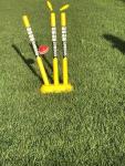 SS Cricket Full Size Plastic Stumps with Bails