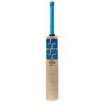 SS Bolt Kashmir Willow Cricket Bat with Cover