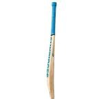 SS Bolt Kashmir Willow Cricket Bat with Cover