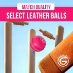 ONEGlobal Select Leather Cricket Ball | 100% Handcrafted, 156g - 5.5oz, 4-Piece Construction | Ideal for T20, Net Practice, Training etc. (Pink, 1 Pack)