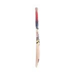 KOOKABURRA Beast 5.1 Cricket Bat