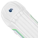 DSC Men's 8904223214454 Intense Shoc Cricket Wicket Keeping Legguard Youth, Multicolor