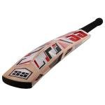 SS Cricket Noir Kasmir Willow Junior Cricket bat fpr for Age 9-13 Years, Size 4