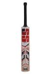 SS Cricket Noir Kasmir Willow Junior Cricket bat fpr for Age 9-13 Years, Size 4