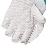 SG RSD Xtreme Adult Wicket Keeping Gloves