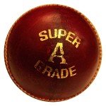 Amber Fight Gear Premium County Cricket Leather Ball