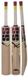 Skihi SS Kashmir Willow Cricket Bat with Cover