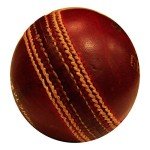 Amber Fight Gear Premium County Cricket Leather Ball