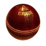 Amber Fight Gear Premium County Cricket Leather Ball
