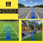 CBB Blue Cricket Stumps with Target Set