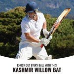 SPORTAXIS Kashmir Willow Cricket Bat with Padded Bag