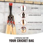 SPORTAXIS Kashmir Willow Cricket Bat with Padded Bag