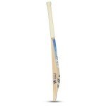 Grade 1 English Willow Cricket Bat - Blue
