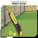 SPORTAXIS Heavy-Duty Cricket Bat with 2 Balls