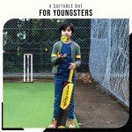 SPORTAXIS Heavy-Duty Cricket Bat with 2 Balls