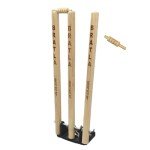 CBB Spring Return Cricket Stumps with Metal Base