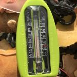 Coghlan's Emergency Rescue Survival Whistle - 2 Pack