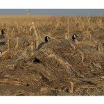 Avery Killerweed All-Terrain Blind Kit