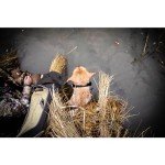 Momarsh Invisi Lab Dog Blind for Waterfowl Hunting