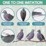 Heerweiyi 12-Pack Dove Decoys with Pegs