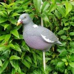 Heerweiyi 12-Pack Dove Decoys with Pegs