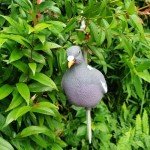 Heerweiyi 12-Pack Dove Decoys with Pegs