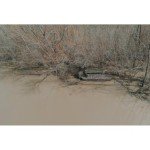 Banded Glory Axe Combo Waterfowl Blind