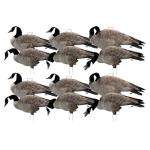 Avery Pro-Grade Flocked Canada Goose Decoys