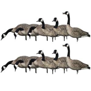 Avian X AXP Honkers Fusion Pack – 12 Decoys