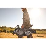 Higdon Flache Magnum Canada Silhouette Decoys, 12 Pack