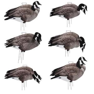 Avery PG Canada Goose Silhouette Decoys