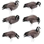 Avery PG Canada Goose Silhouette Decoys