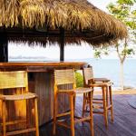 Bamboo Palm Thatch Duck Blind Cover Roll 8’