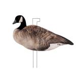 Last Pass Honker Silhouette Decoys - 12 Pack