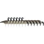 Avery Pro-Grade Flocked Canada Goose Decoys