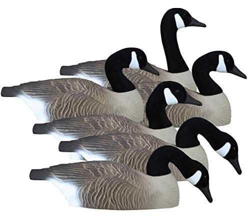 Goose Decoys