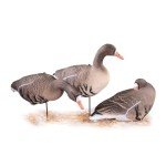 Heerweiyi SPECKL Goose-6 Call for Waterfowl