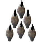 Higdon Full-Size Canada Goose Decoys - 6 Pack