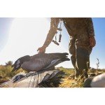 Higdon Outdoors Flache Magnum Canada Silhouette Decoys