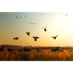 Higdon Magnum Canada Goose Motion Lock Decoy