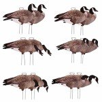 Avery PG Canada Goose Silhouette Decoys