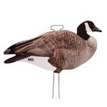 Avery PG Canada Goose Silhouette Decoys
